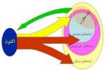 سه رویکرد مهم در آینده‌پژوهی